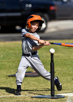 CLL T-Ball Gray Sharks Padres