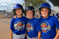 CLL Minors Rockhounds 2013
