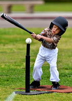 CLL T-Ball Padres Mashers