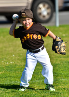 CLL T-Ball Grizzly Padres