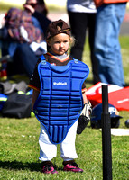 CLL T-Ball Brown Padres