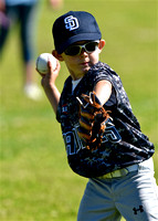 CLL T-Ball Blue Waves