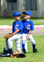 CLL  2014 T-Ball Cubs