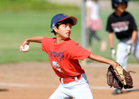 CLL 2012 Minors Sea Dogs