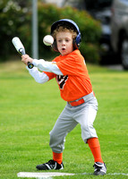 CLL TBall Orioles
