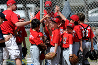 CLL Minors Muckdogs