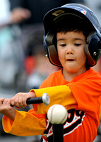 CLL Tball Orioles